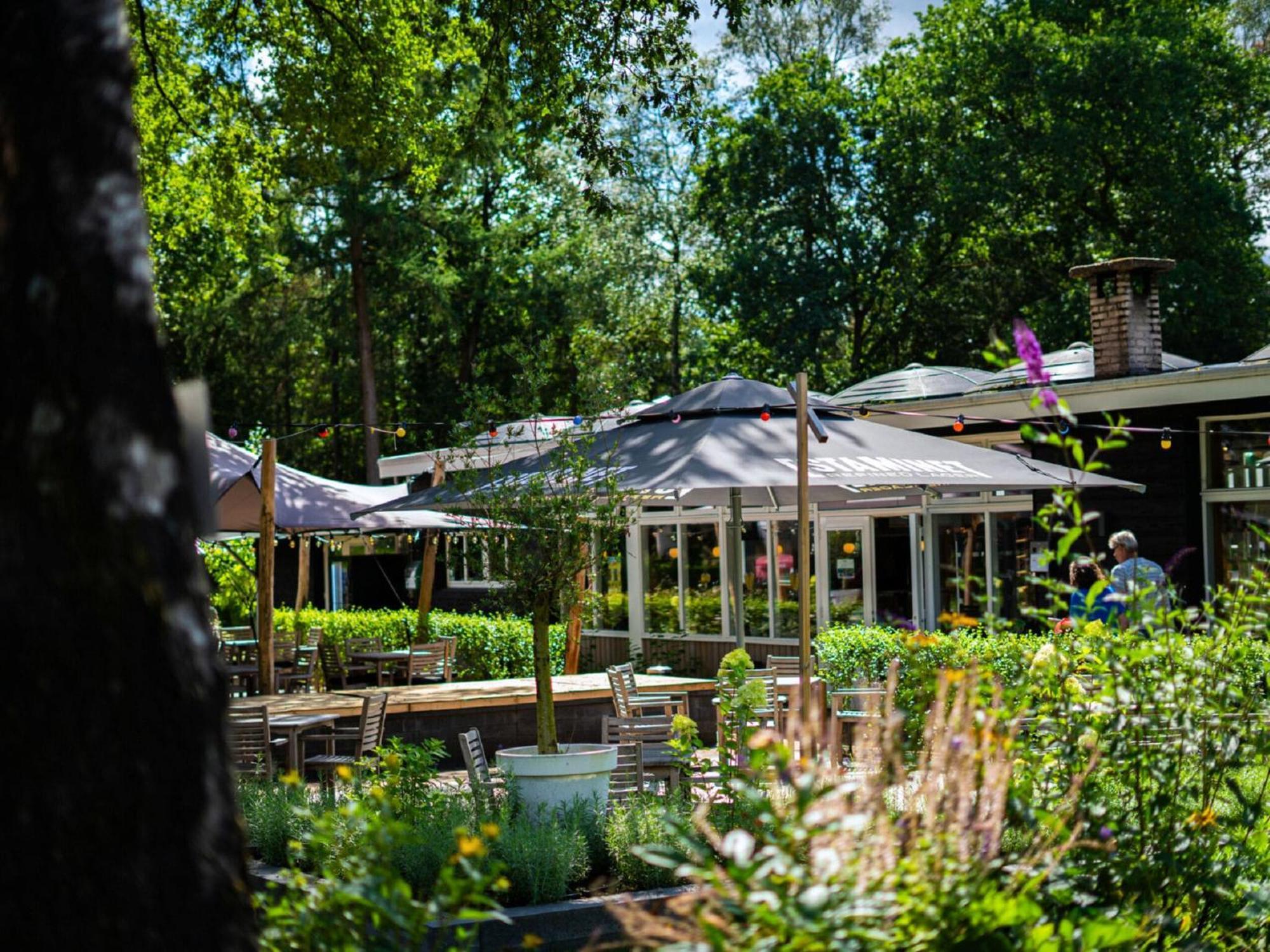 Comfortable Chalet With Combination Microwave Near The Veluwe โฮนเดอร์โล ภายนอก รูปภาพ